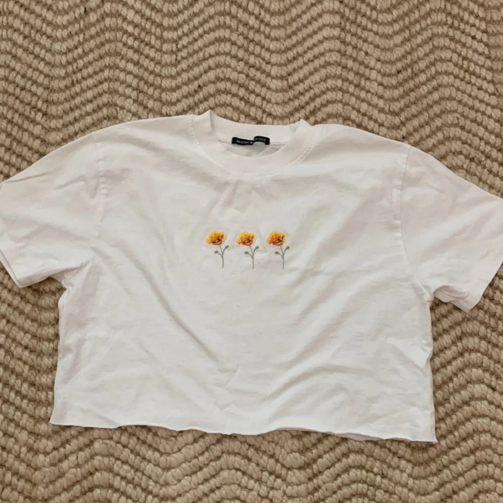 brandy melville cropped tee